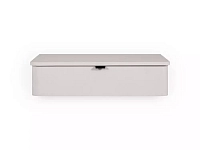 Консоль подвесная Rimini 970836 250_100_Array